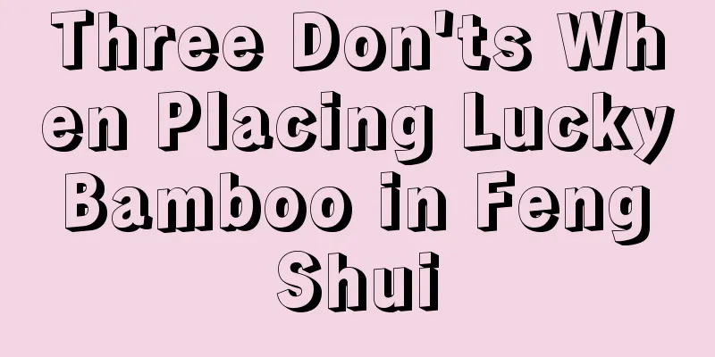 Three Don'ts When Placing Lucky Bamboo in Feng Shui