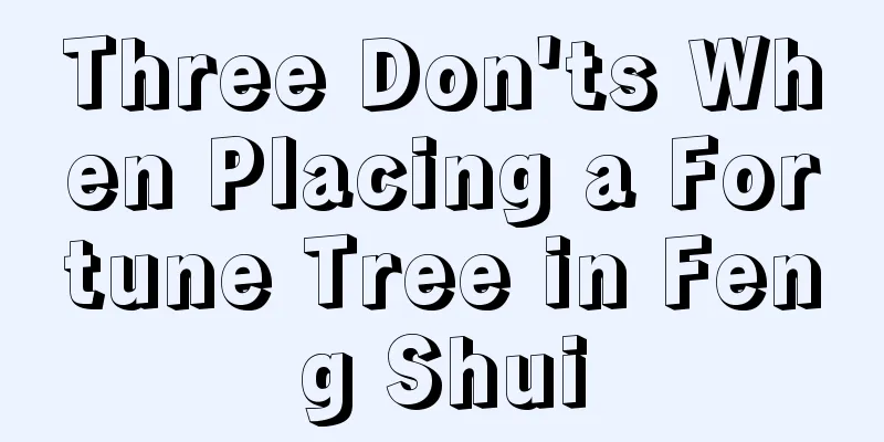 Three Don'ts When Placing a Fortune Tree in Feng Shui