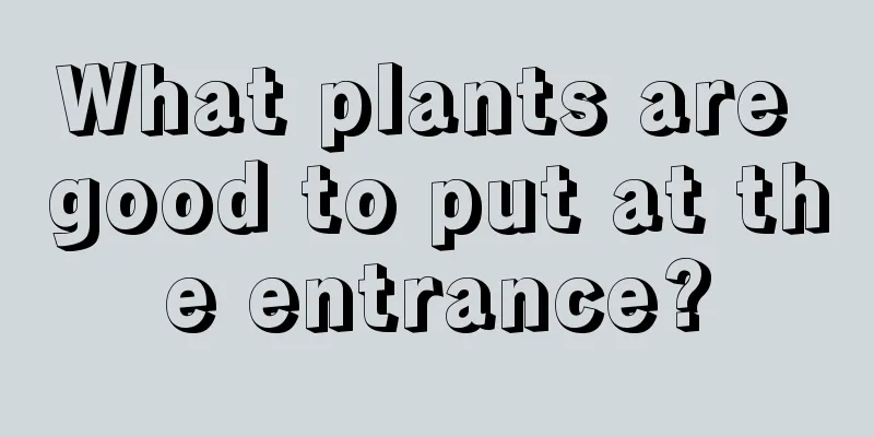 What plants are good to put at the entrance?