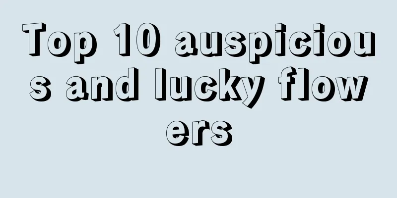 Top 10 auspicious and lucky flowers