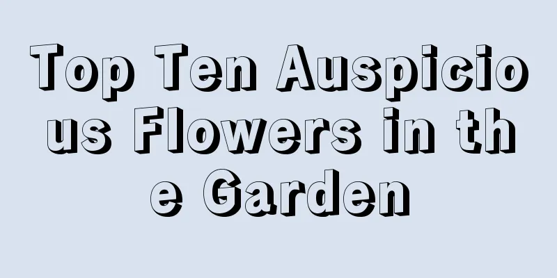 Top Ten Auspicious Flowers in the Garden