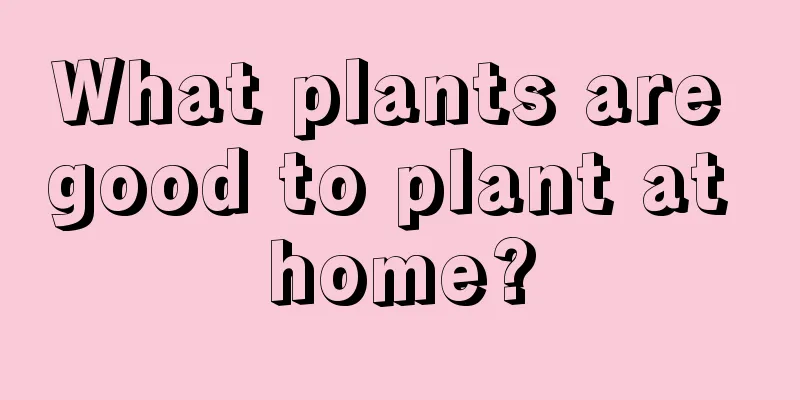 What plants are good to plant at home?