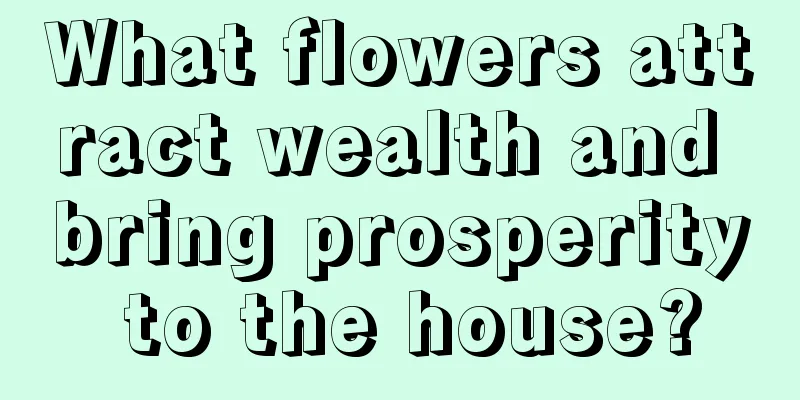 What flowers attract wealth and bring prosperity to the house?