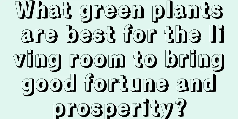 What green plants are best for the living room to bring good fortune and prosperity?