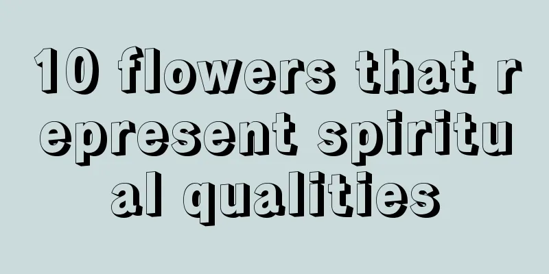 10 flowers that represent spiritual qualities