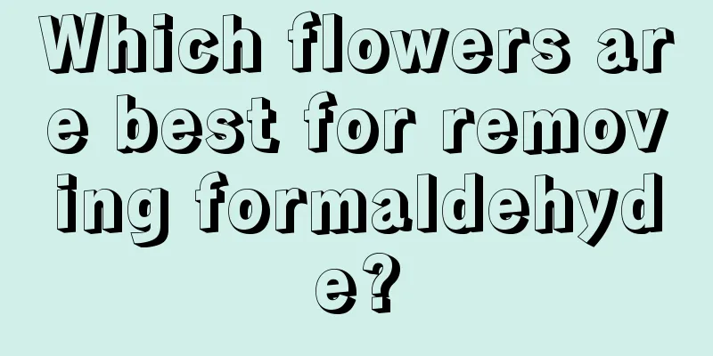 Which flowers are best for removing formaldehyde?