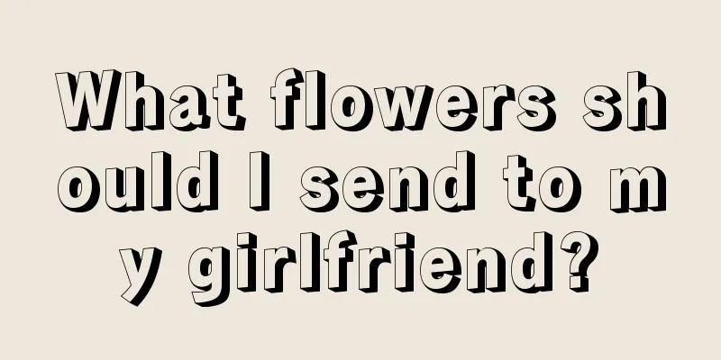 What flowers should I send to my girlfriend?