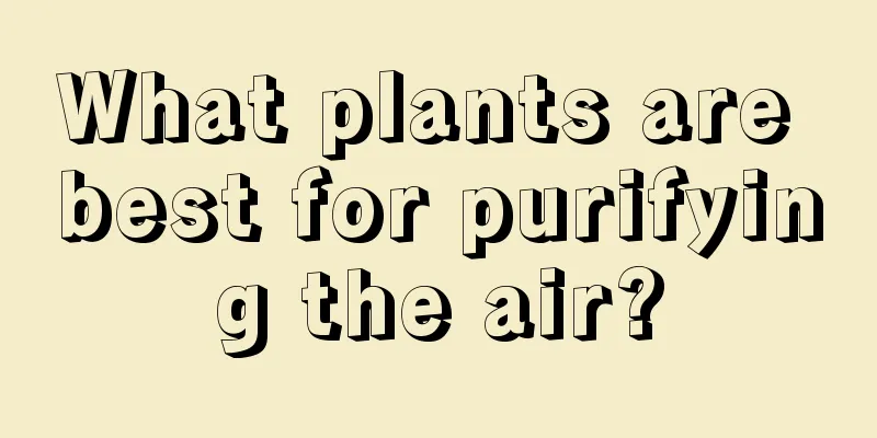 What plants are best for purifying the air?