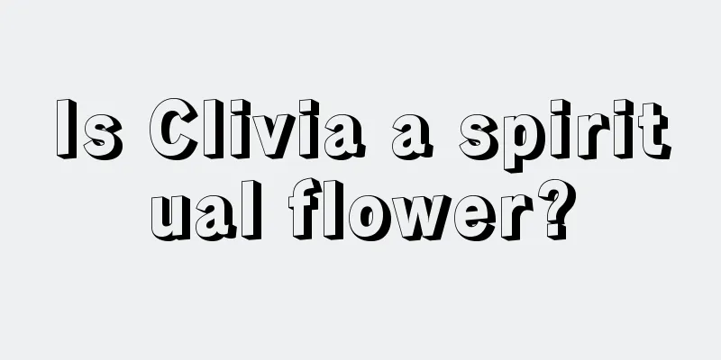 Is Clivia a spiritual flower?