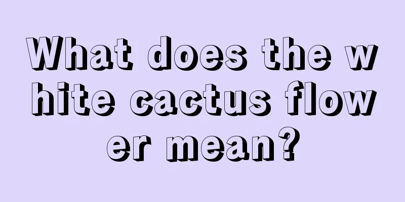 What does the white cactus flower mean?