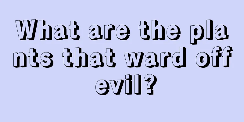 What are the plants that ward off evil?