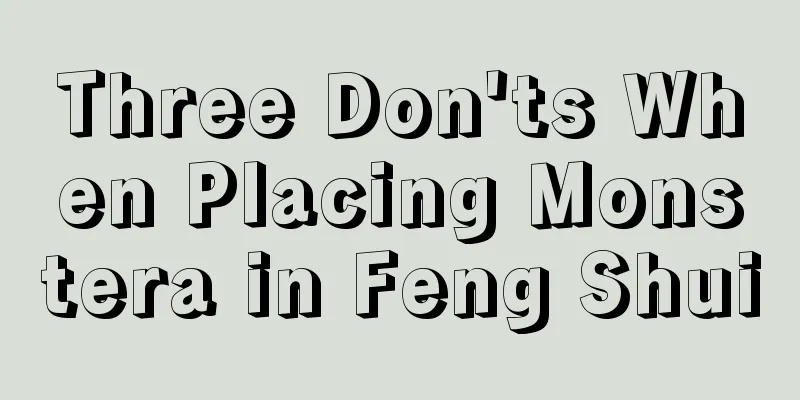 Three Don'ts When Placing Monstera in Feng Shui