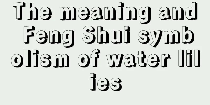 The meaning and Feng Shui symbolism of water lilies