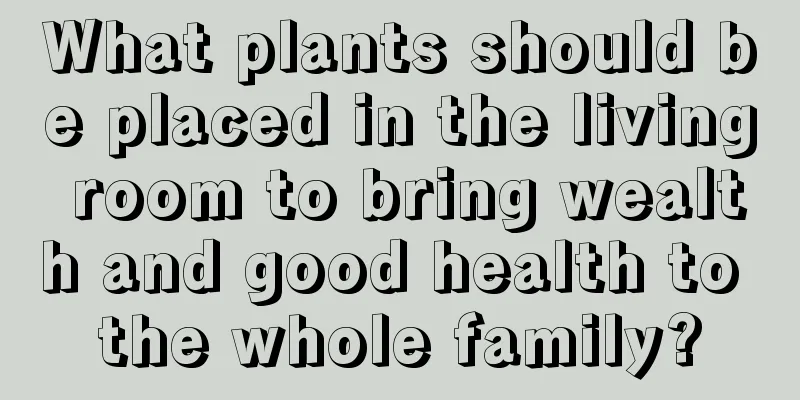 What plants should be placed in the living room to bring wealth and good health to the whole family?