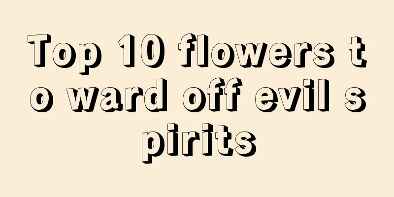 Top 10 flowers to ward off evil spirits