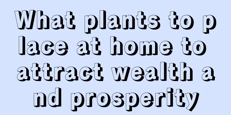 What plants to place at home to attract wealth and prosperity