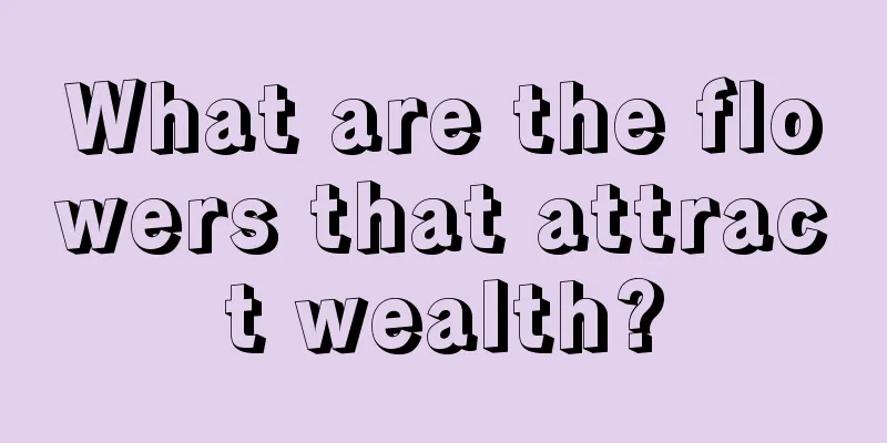 What are the flowers that attract wealth?