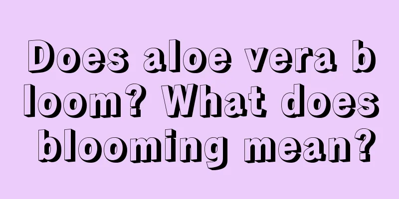 Does aloe vera bloom? What does blooming mean?