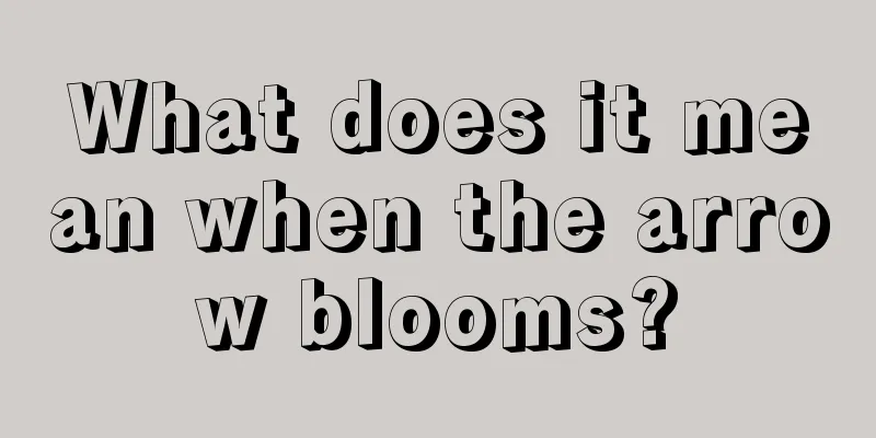 What does it mean when the arrow blooms?