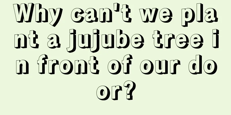 Why can't we plant a jujube tree in front of our door?