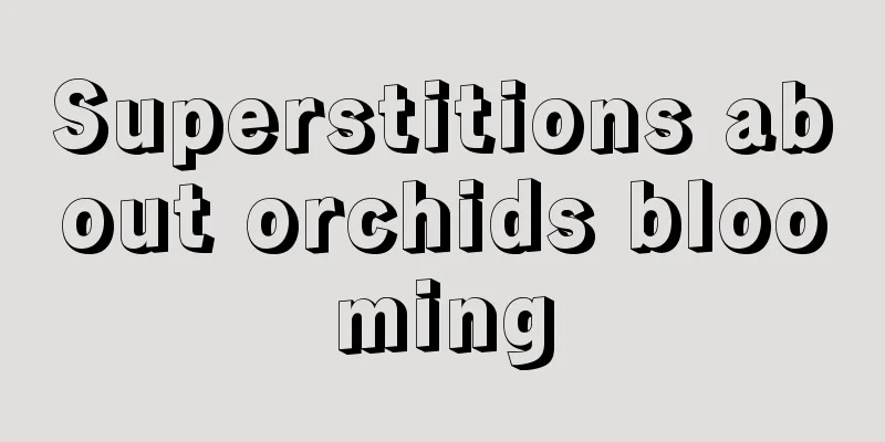 Superstitions about orchids blooming