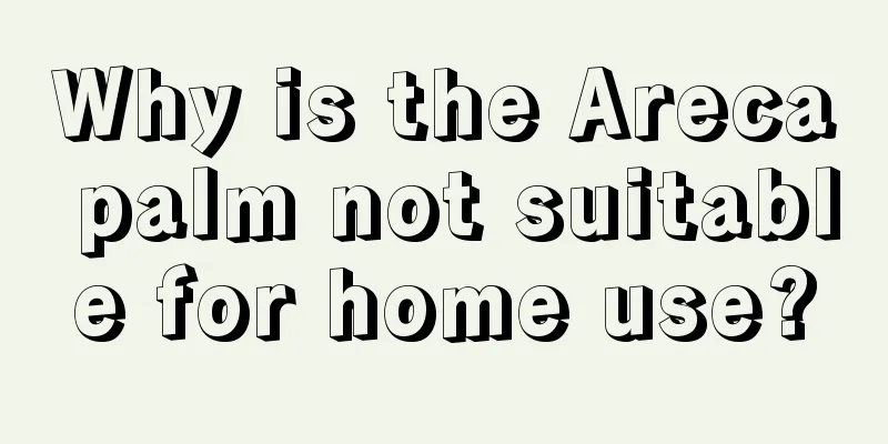 Why is the Areca palm not suitable for home use?