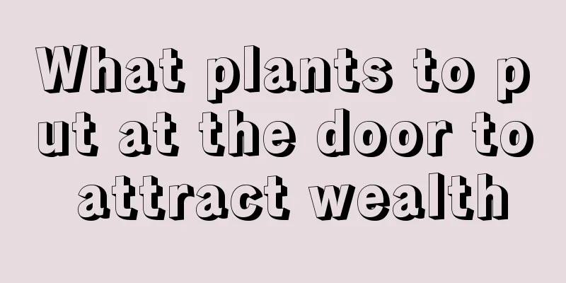 What plants to put at the door to attract wealth