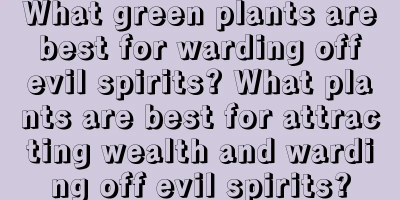 What green plants are best for warding off evil spirits? What plants are best for attracting wealth and warding off evil spirits?