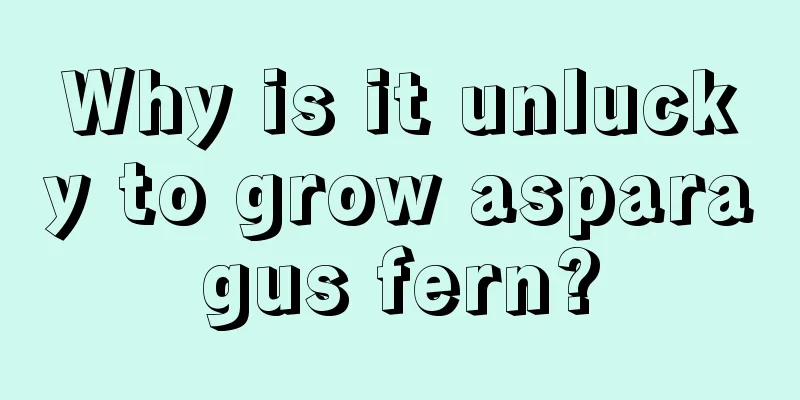 Why is it unlucky to grow asparagus fern?