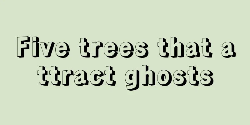 Five trees that attract ghosts