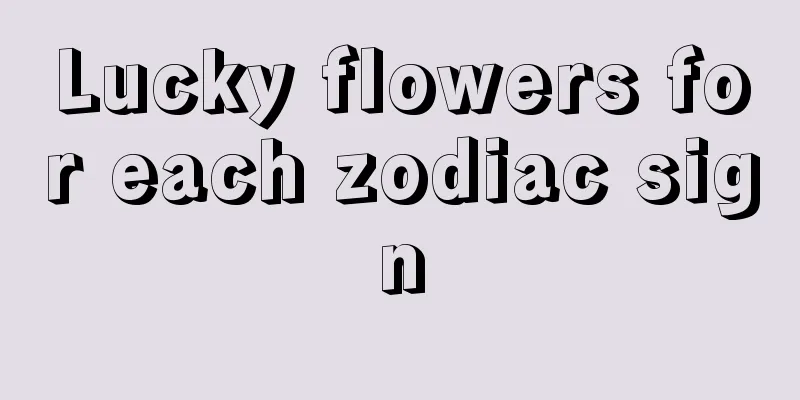 Lucky flowers for each zodiac sign