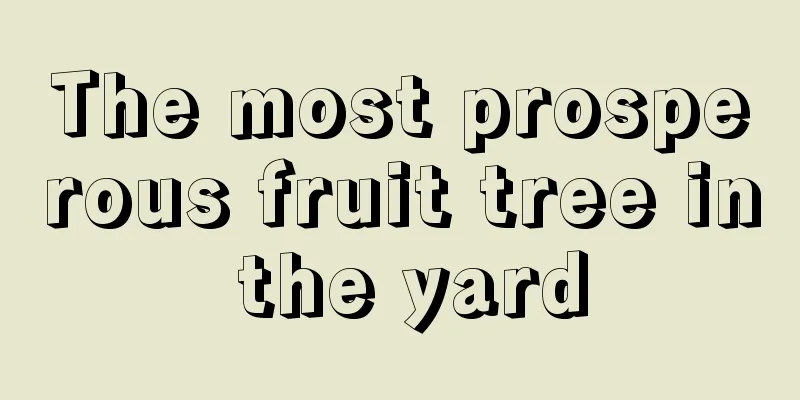 The most prosperous fruit tree in the yard