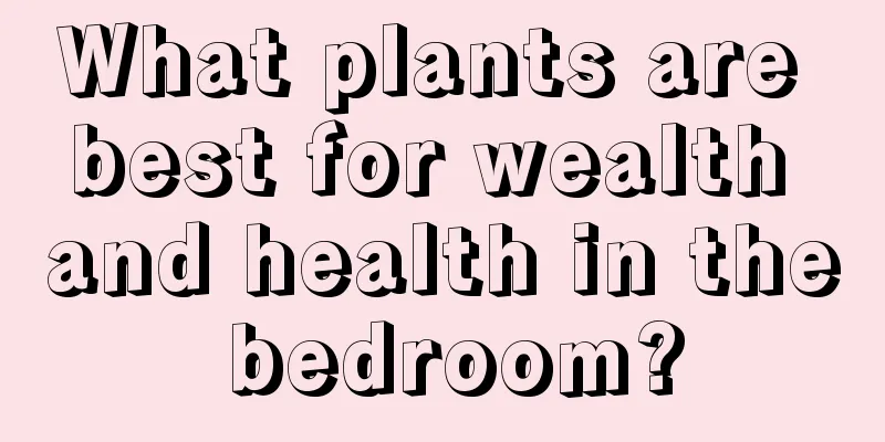 What plants are best for wealth and health in the bedroom?