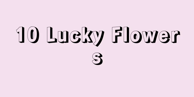 10 Lucky Flowers