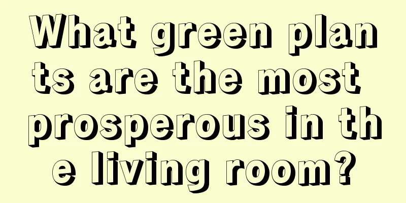 What green plants are the most prosperous in the living room?