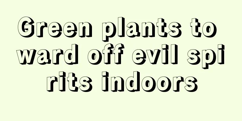 Green plants to ward off evil spirits indoors