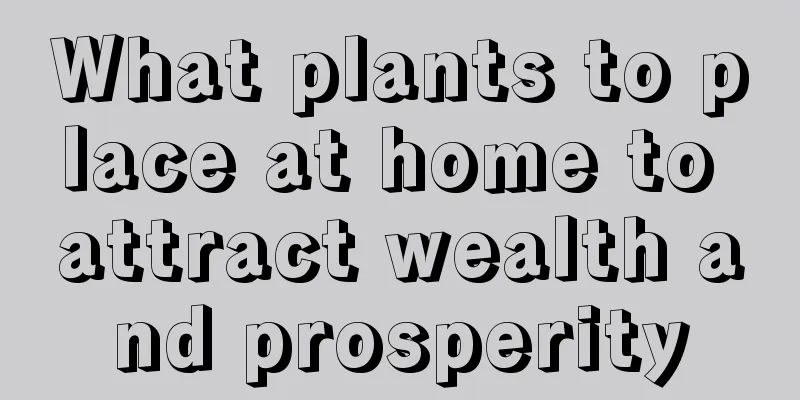 What plants to place at home to attract wealth and prosperity