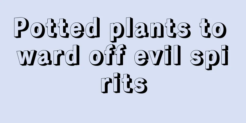 Potted plants to ward off evil spirits