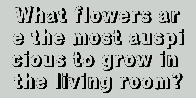 What flowers are the most auspicious to grow in the living room?