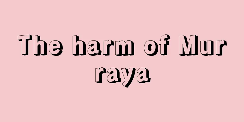 The harm of Murraya