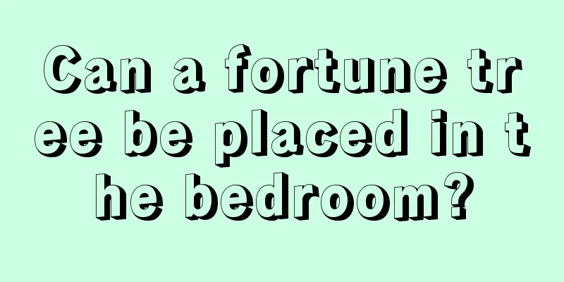 Can a fortune tree be placed in the bedroom?