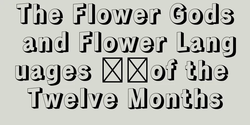 The Flower Gods and Flower Languages ​​of the Twelve Months