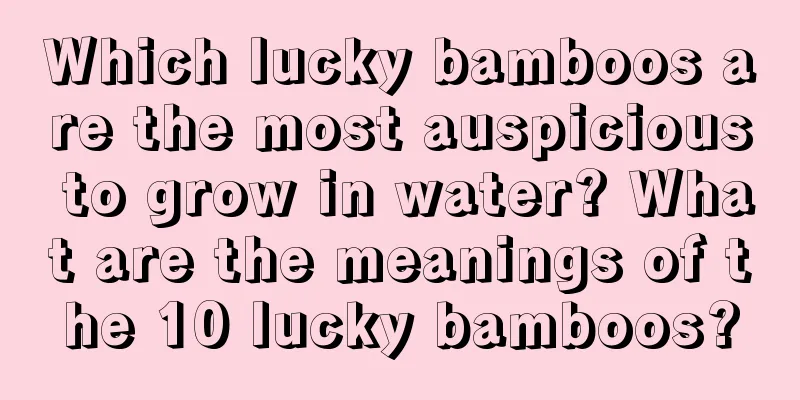 Which lucky bamboos are the most auspicious to grow in water? What are the meanings of the 10 lucky bamboos?