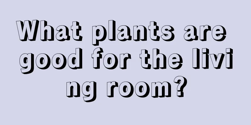 What plants are good for the living room?