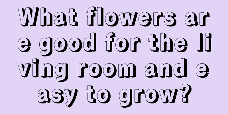 What flowers are good for the living room and easy to grow?