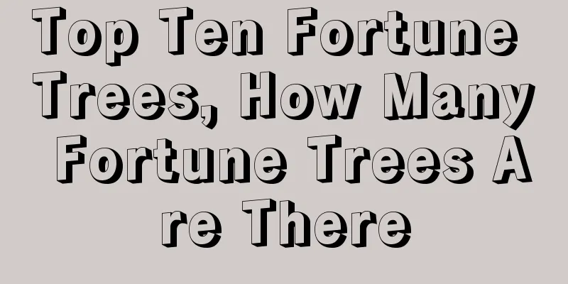 Top Ten Fortune Trees, How Many Fortune Trees Are There