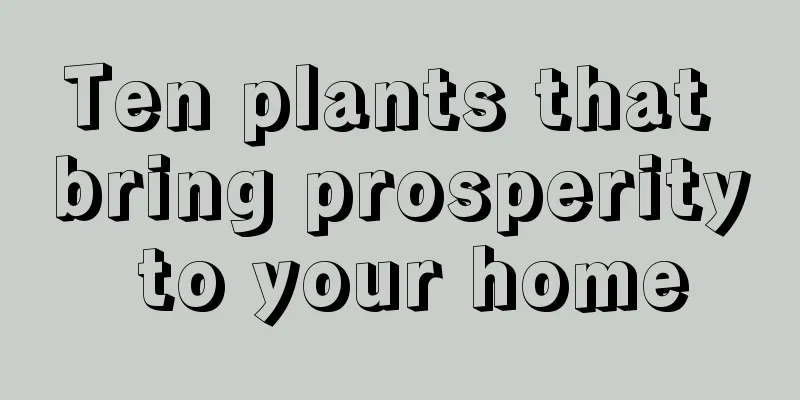 Ten plants that bring prosperity to your home