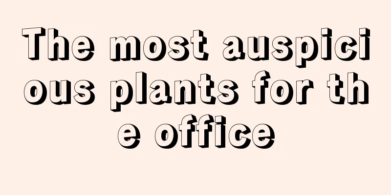 The most auspicious plants for the office