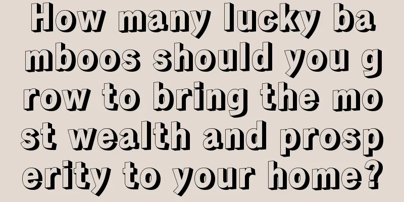 How many lucky bamboos should you grow to bring the most wealth and prosperity to your home?