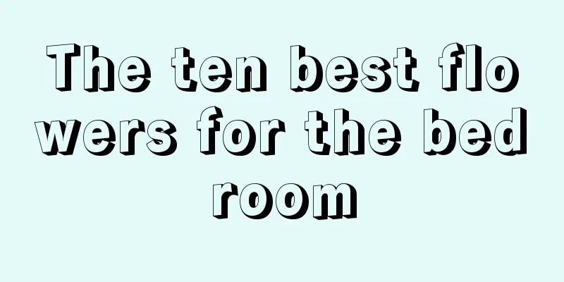 The ten best flowers for the bedroom